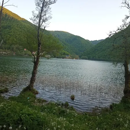 Brvnara Pliva 20M Jezero Rostilj Relax In Nature